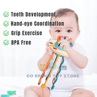 Thumbnail for Sensory Development Baby Toys - PepitoStore